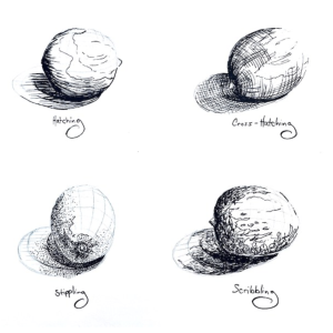 Youth Pen & Ink Botanical Drawing with Nico Galuszka 